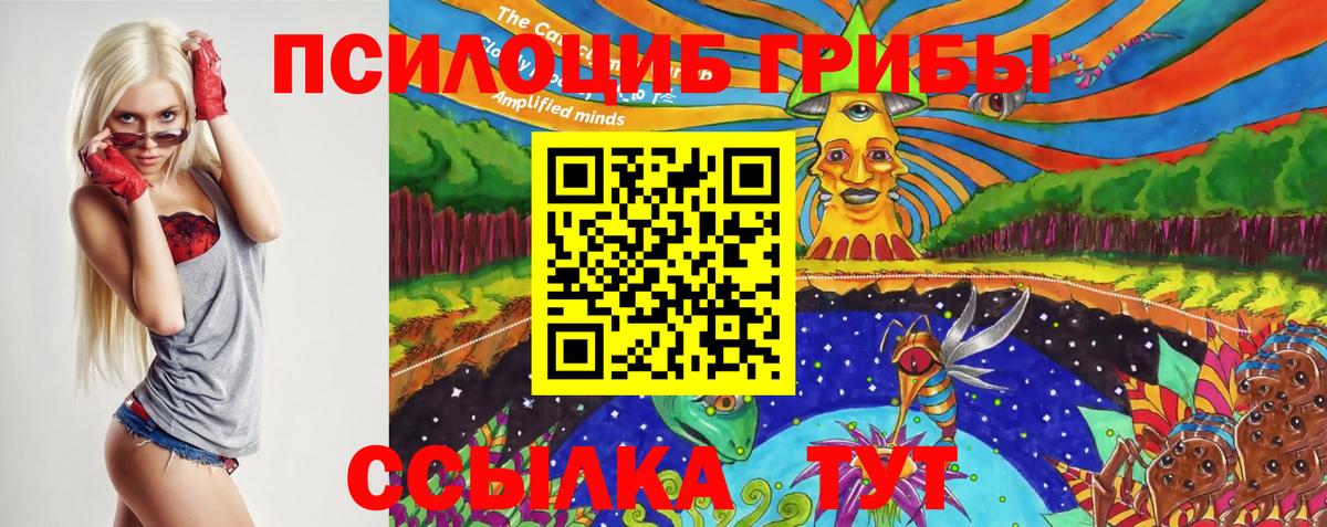 Псилоцибиновые грибы Cubensis  Вход с VPN  Волжск 