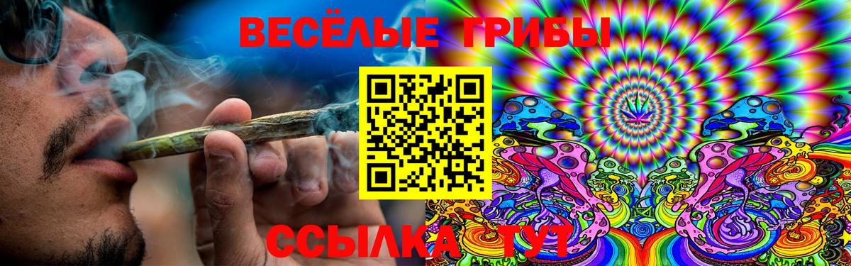 Галлюциногенные грибы Psilocybe Волжск